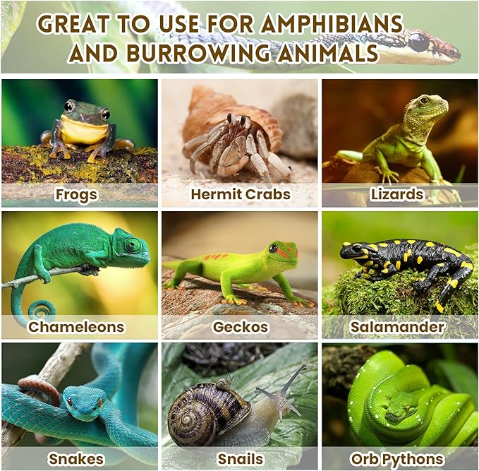 Coconut Chip Substrate for Reptile 60 Quart Natural Loose Coco Husk Chip Reptile Substrate Bedding for Snakes, Lizards, Gekos, Toad, Tortoise, Ball Pythons, Frogs, Amphibians Terrarium Tanks