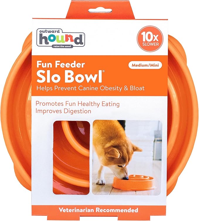 Outward Hound Fun Feeder Slow Bowl in Orange Plastic for Dogs