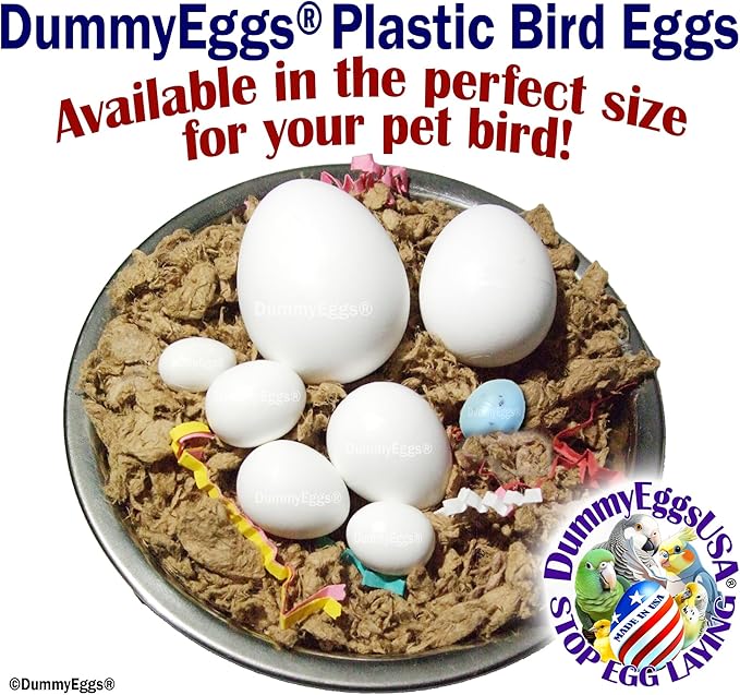 Cockatiel Eggs Stop Laying! 7 Plastic Solid Fake Bird Eggs: Dove, Quaker, Green Cheek, USA
