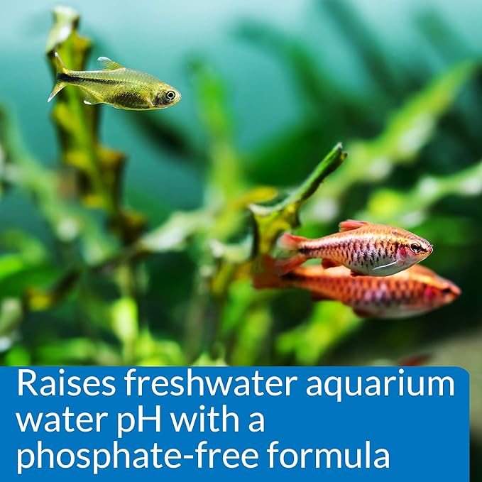 API Aquarium Pharmaceuticals pH Control Kit - 30B pH Down 16 oz & pH UP 4 oz Freshwater Aquarium Water pH Adjuster