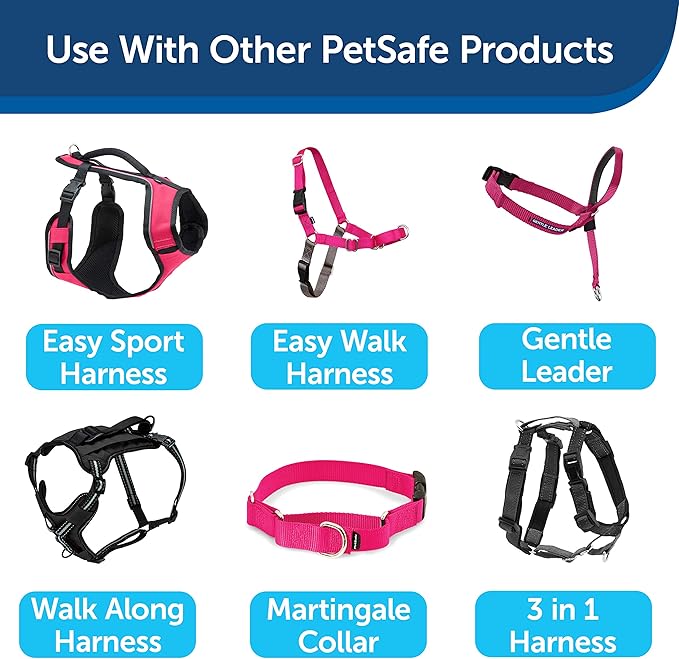 PetSafe Nylon Dog Leash - Strong, Durable, Traditional Style Leash with Easy to Use Bolt Snap - 3/4 in. x 6 ft., Raspberry Pink