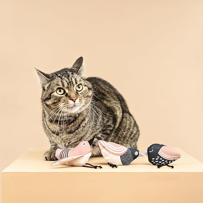 Fringe Studio "Under My Wings Cat Toy Mini Set of 3, PetShop Collection (904029)