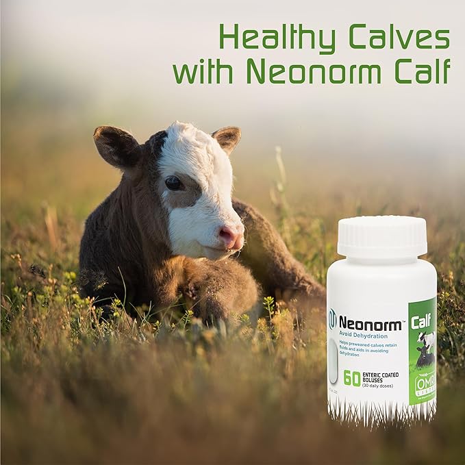 Jaguar Animal Health Neonorm Calf - Enteric Coated Supplement Boluses for Proper Hydration & Bowel Health - Plant-Based Product for Pre-Weaned Calves (60 Count)