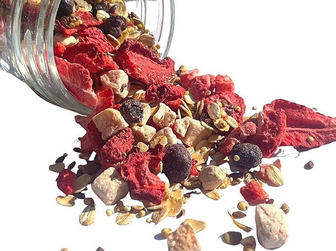 Fruity Breakfast Blend Hermit Crab Dry Food - High Protein & Nutrient Blend Diet of Rolled Oats, Blueberries, Strawberry, Banana, Sprouted Seeds Mix - Aquatic Pet Snack Treat | 65g