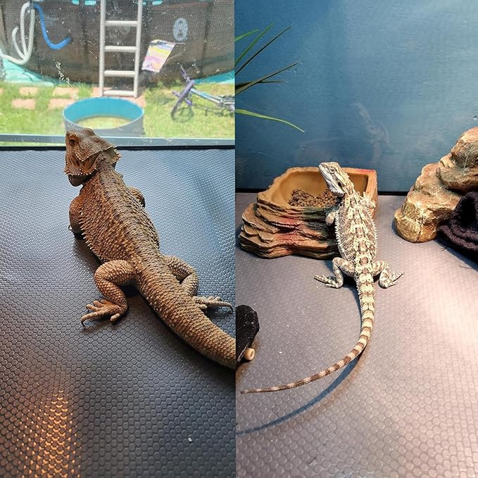 Bearded Dragon Tank Accessories, Reptile Mat, Reptile Terrarium Substrate Liner for Leopard Gecko, Lizard, Snake, Tortoise, Iguana Non-Adhesive Reptile Flooring (18"x72" Grey)