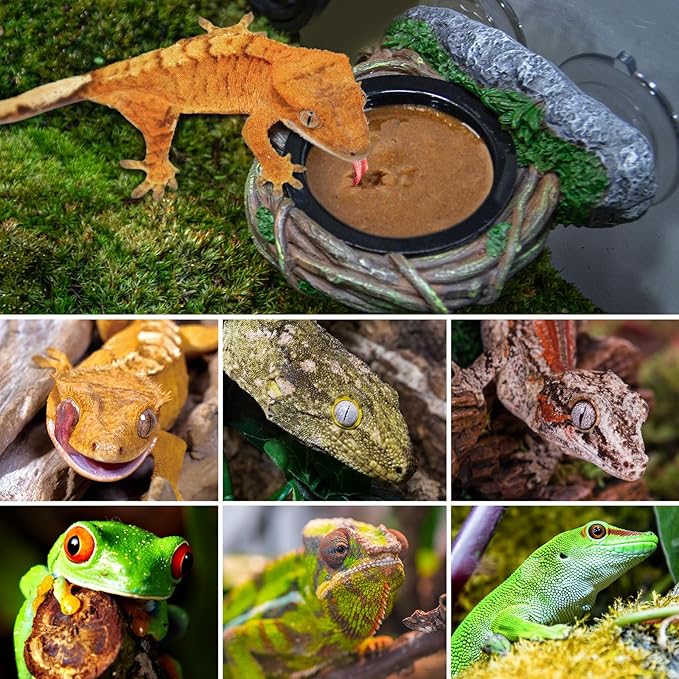 REPTI ZOO Crested Gecko Feeding Ledge, Reptile Water Food Dish for Bearded Dragon Lizard Snake Turtle, Vine Reptile Feeder Bowl Terrarium Tank Decor Accessories