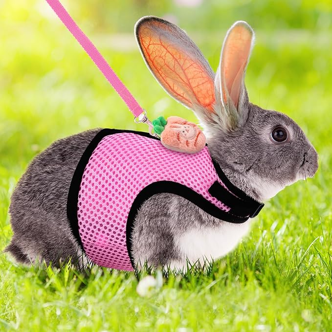 Rabbit Harness and Leash Set with 2 Cute Decorations Soft Adjustable Buckle Breathable Mesh Vest Harness for Rabbits Ferret Small Pig Puppy Walking Supplies (Pink,Cute Pattern)