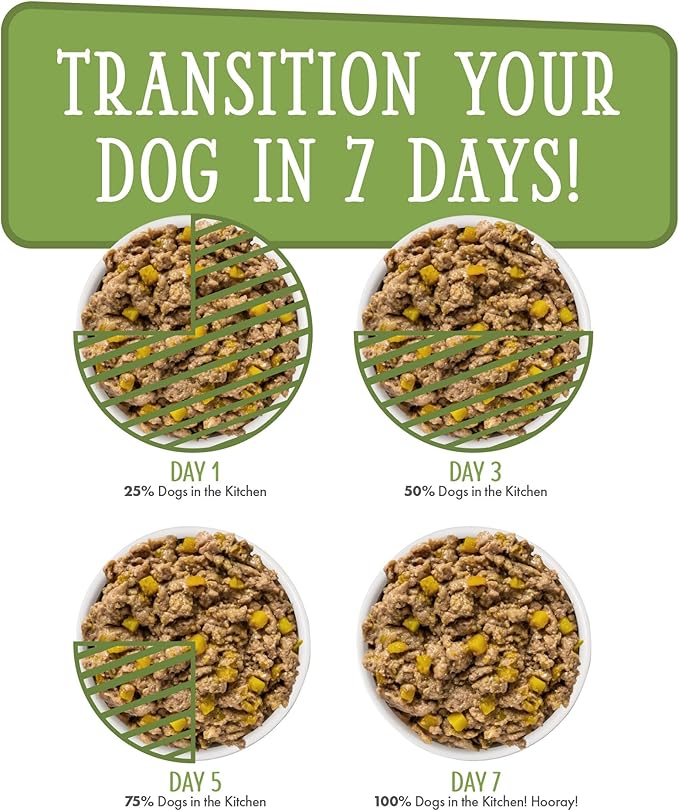 Weruva Dogs in The Kitchen, Lamburgini with Lamb & Pumpkin Au Jus Dog Food, 2.8oz Pouch (Pack of 12), Green