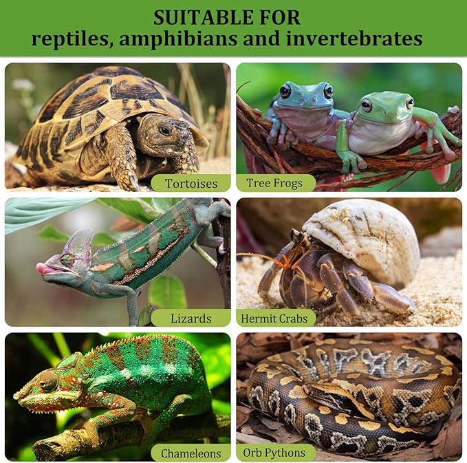 2LBS Expanded Clay Balls Terrarium Substrate for Reptiles - 100% Organic Lightweight Clay Pebbles Substrate Frogs False Bottom Substrate, Bioactive Terrarium Substrate for Drainage and Moisture