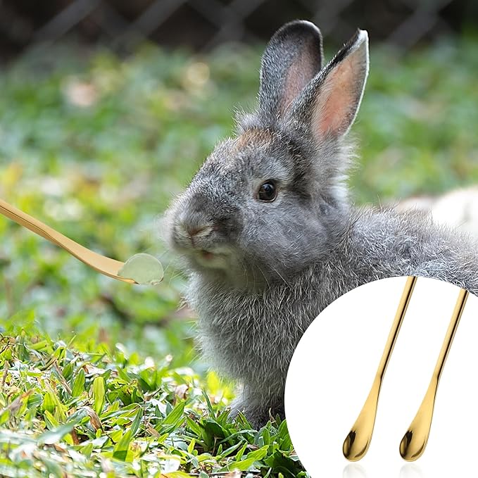 2Pcs Crested Gecko Food Spoons, 8.9" Long Handle Gecko Feeding Spoon, Stainless Steel Powder Fruit Mixing Stirring Food Feeding Spoons for Gargoyle Bearded Dragon