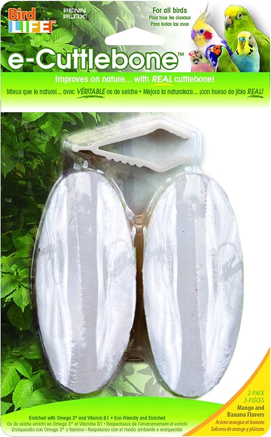 PENN-PLAX Small Bird Starter Kit with Birdcage and Accessories – Great for Parakeets, Lovebirds, Parrotlets, Finches, Canaries, and More – Arch Style Cage – White