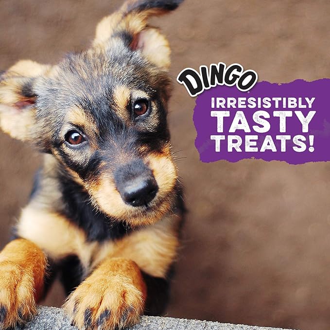 Dingo Medium Rawhide Bone Chew For Dogs, 24 Ct