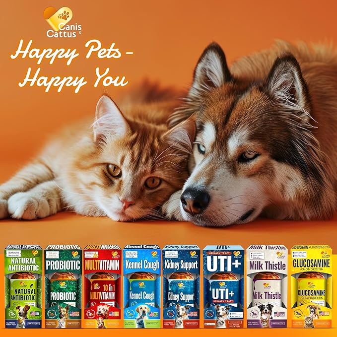 Cat Multivitamin | Dog Vitamins and Supplements | Cat Supplements & Vitamins | Multivitamin for Dogs | Pet Honesty Multivitamin 10-in-1 | Dog Supplements & Vitamins | Vitamins for Dogs | 3 Pack