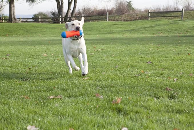 ChuckIt! Tumble Bumper Dog Toy, Medium