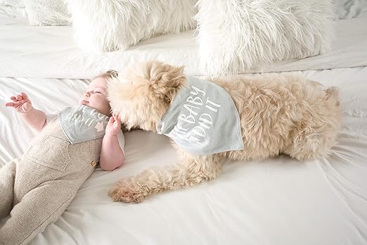 Pearhead Baby and Pet Bib Set, Matching Best Friends Outfits, for Anyone with a Baby and Fur Baby, Gray
