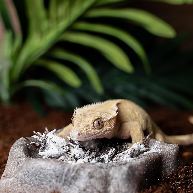 Natural Eggshell Calcium Supplement for Reptiles - Pure, D3-Free Formula for Optimal Health - Unique Eggshell Source, High Absorption, Safe & Effective - Ideal for Reptile Wellness