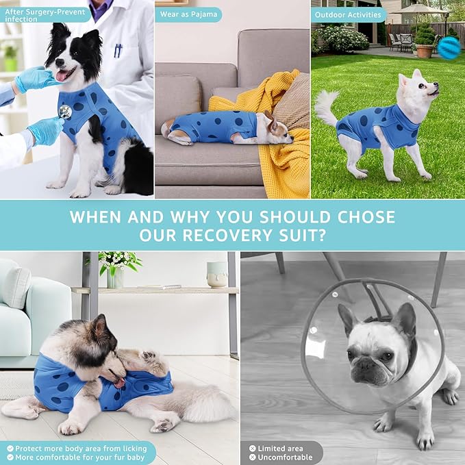 Recovery Suit for Dogs, Professional Soft Breathable Dog Surgery Suit Post Spay, Neuter, Abdominal Surgical Suit Prevent Licking Wounds, Dog Recovery Suit Male Female Can Pee (Blue, Small)