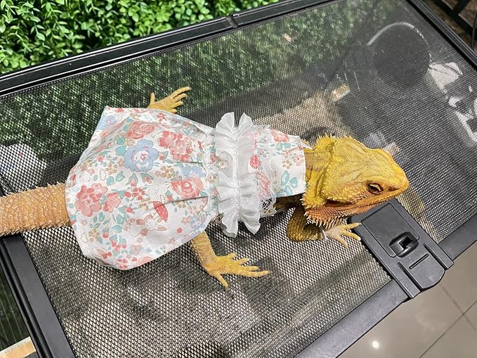 Lizard Dress for Bearded Dragon - Handmade Cotton Tutu Skirt with Lace Princess Sundress Halloween Costume Photo Cosplay Party for Reptile Lizard Bearded Dragon Crested Gecko Chameleon (L, Pink)