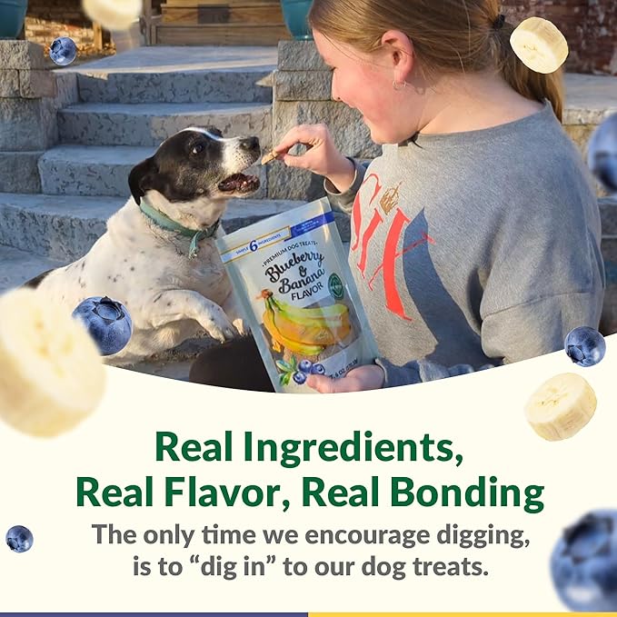 Dig Defence - Blueberry and Banana Premium Dog Treats - Gourmet Healthy Dog Treats, Training Treats for Dogs