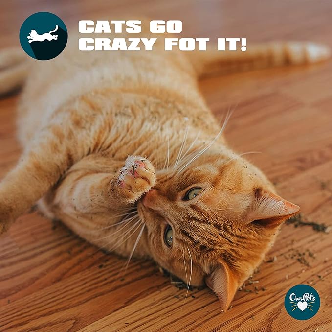 Our Pets Premium Catnip - 1.25 oz Jar of High Potency Catnip - 100% North American Grown