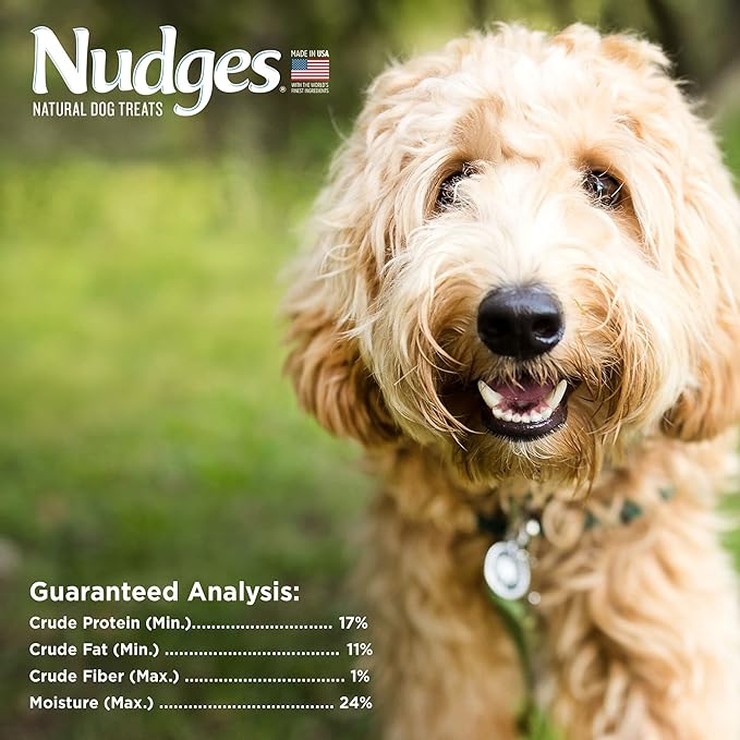 Blue Buffalo Nudges Grillers Natural Dog Treats, Chicken, 16oz Bag