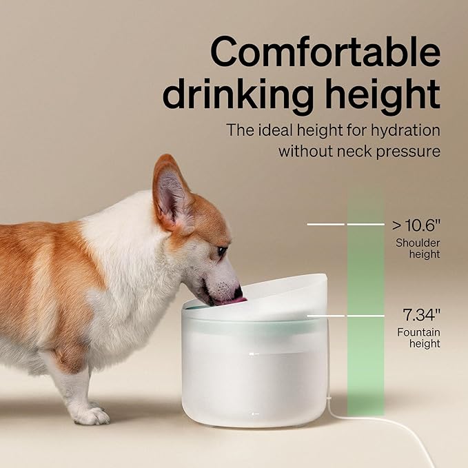 PETLIBRO Dog Water Fountain, 2.1Gal/270oz Capsule Dog Fountain for Medium to Large Dogs, Automatic Pet Water Dispenser for Drinking, Anti-Splash, Ultra-Quiet Dog Water Bowl Dispenser Easy to Clean