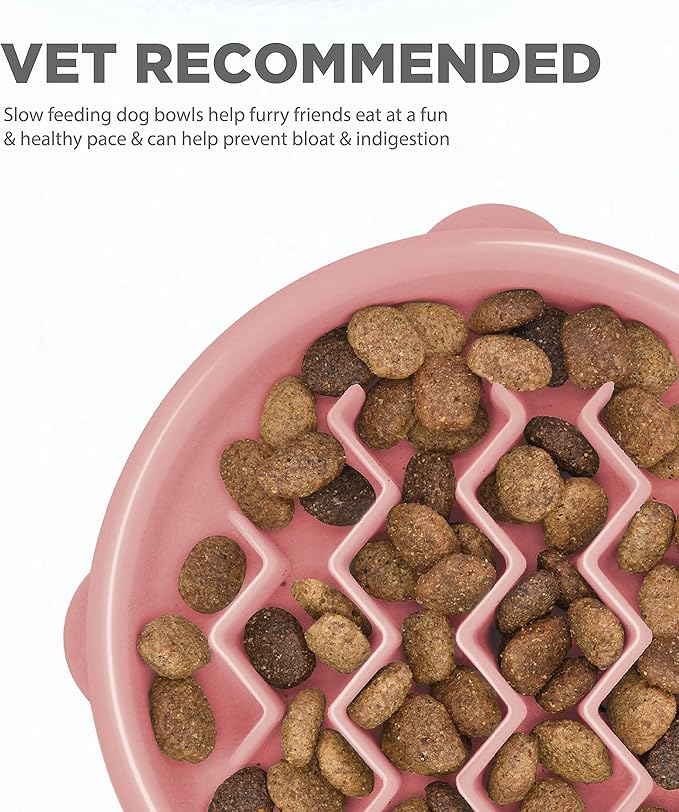 Outward Hound Fun Feeder Slo Bowl, Slow Feeder Dog Bowl, Small, Pink