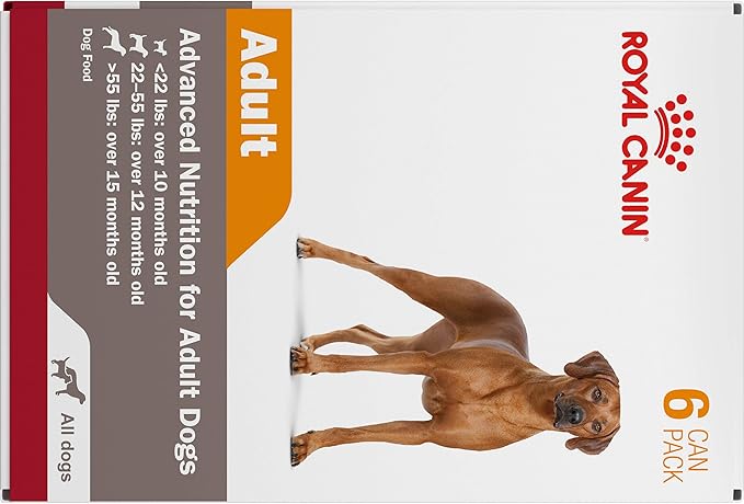 Royal Canin Canine Health Nutrition Adult In Gel Canned Dog Food, 13.5 oz can (6-pack)