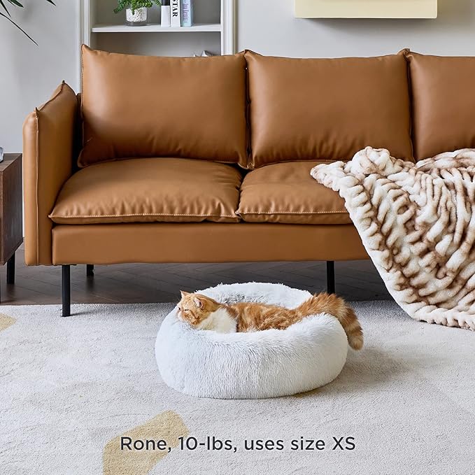 Bedsure Calming Cat Beds for Indoor Cats - Small Cat Bed Washable 20 inches, Anti Anxiety Round Fluffy Plush Faux Fur Pet Bed, Fits up to 15 lbs Pets, Frost Grey