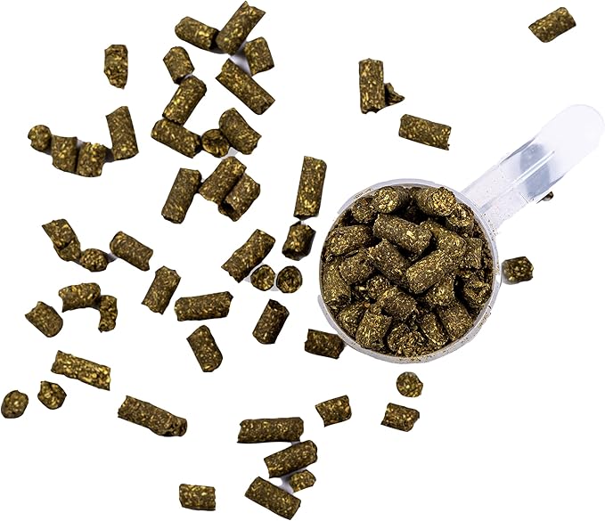 SynChill 100% Natural & Nutritional Supplement, Lab Proven Results, Designed for Focus & Performance, Approved by Olympians and Veterinarians, Daily Pellets -30 Servings, Made in USA