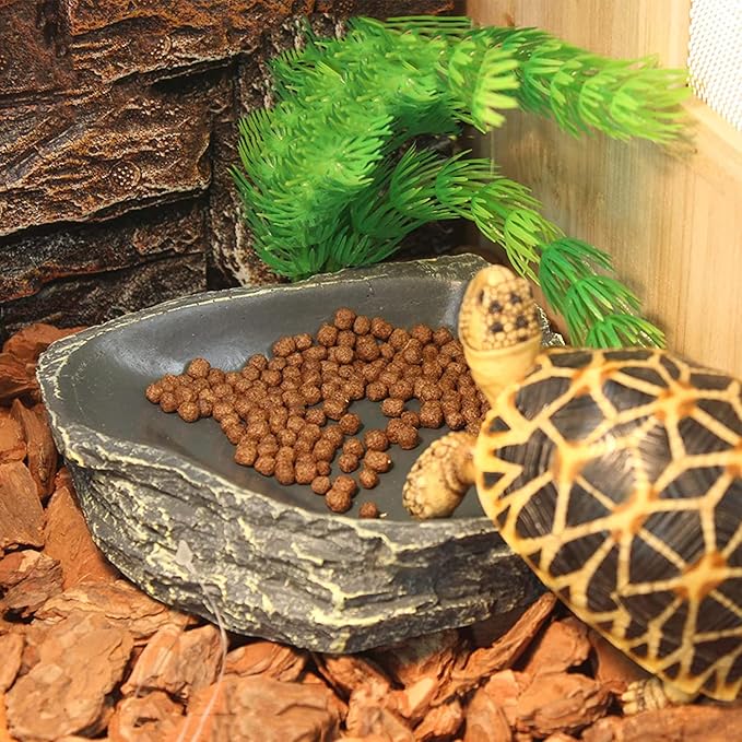 Reptile Bowl Reptile Feeder Terrarium Bowls, Reptile Water and Food Bowls for Lizard Feeding Bearded Dragon Food Dish, Gecko Reptile Water Dish