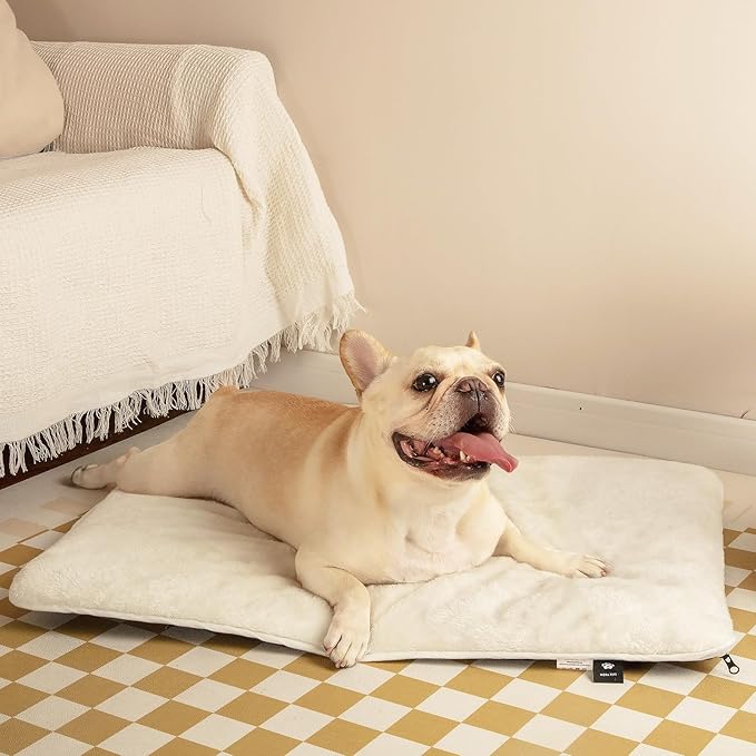 Mora Pets Cat Bed Waterproof Crate Mat Ultra Soft Pet Bed with Removable Washable Cover Anti-Slip Bottom Memory Foam Crate Pad for Small Dogs and Indoor Cats 22 x 13 inch Beige