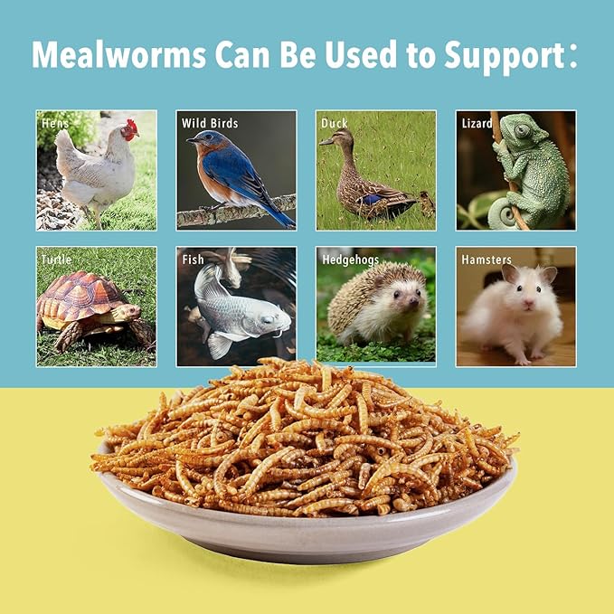 10lb Dried Mealworms for Wild Birds Premium Non-GMO Organic Chickens Feed, for Laying Hens,Ducks, Reptiles
