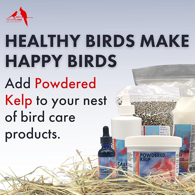 Morning Bird Powdered Kelp Birds Supplement, Iodine Dietary Supplement with Vitamins, Minerals and Amino Acids for Birds