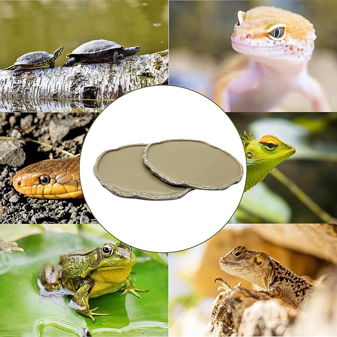 Tfwadmx 2 Pcs Reptile Food Dish Bearded Dragon Food Bowl Tortoise Food Dish Reptile Rock Food Bowl Reptile Feeder Feeding Bowl for Lizard Turtle Frog Leopard Gecko Snake Chameleon