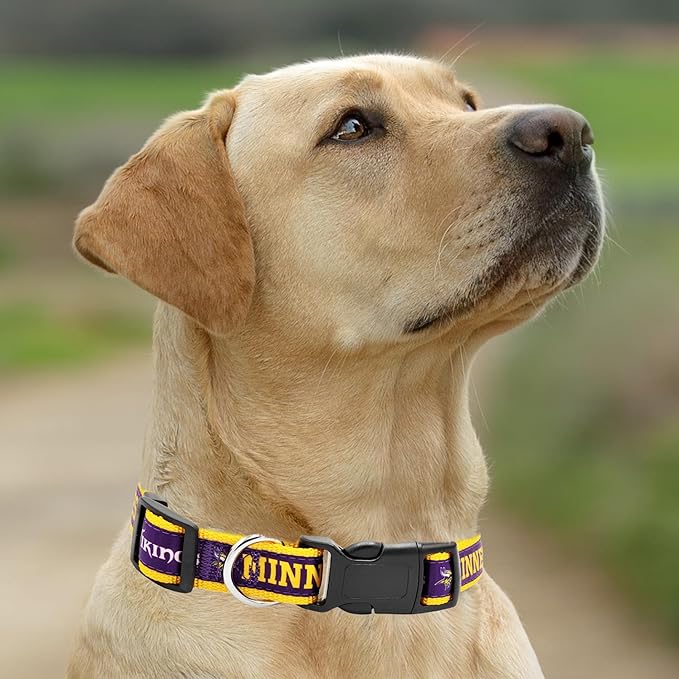 Pets First NFL Minnesota Vikings Licensed PET COLLAR, X-Large - Heavy-Duty, Strong, and Durable Dog Collat. Available in 32 Football Teams