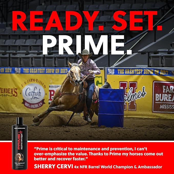 Prime Equine, Fast-Acting Quick Joint & Muscle Pain Relief Gel for Horses, Enhances Recovery & Performance – Emulgel is Superior to Liniment, Natural Veterinary Gel (16 OZ)