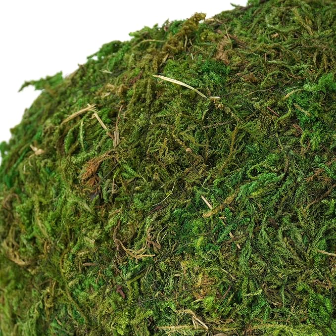 Mossy Caves, Artificial Green Moss Caves Hide for Pet Reptile Frogs and Snakes, Terrarium & Vivarium Decor, Crested Gecko Tank Decor (6" - Woodland Green)