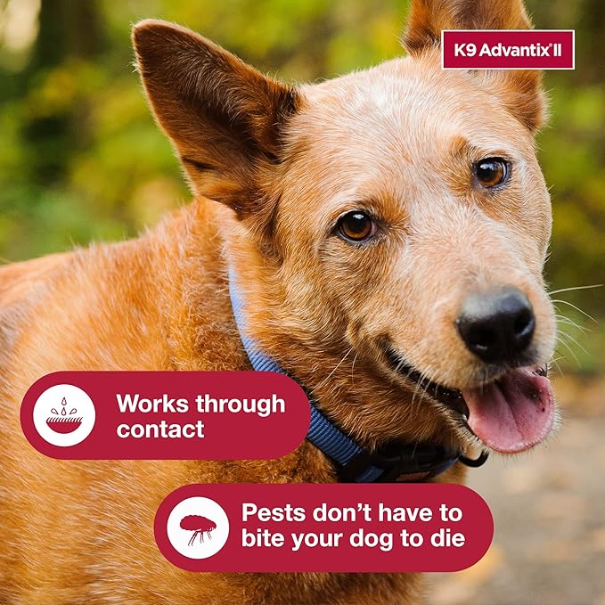 K9 Advantix II Large Dog Vet-Recommended Flea, Tick & Mosquito Treatment & Prevention | Dogs 21 - 55 lbs. | 12-Mo Supply