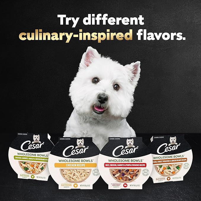CESAR WHOLESOME BOWLS Adult Soft Wet Dog Food Beef, Chicken, Carrots, Barley & Green Beans Recipe, (10) 3 oz. Bowls
