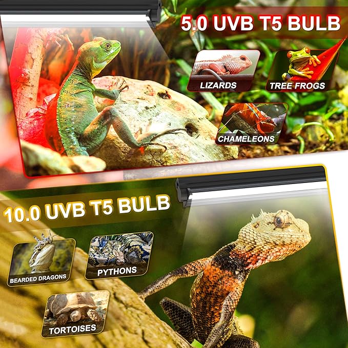 8W Reptile T5 HO UVB Light Hood, Reptile Lamp Hood with UVB 10.0 Lamp Tube, Suitable for Desert Reptiles(8W-13 Inches)