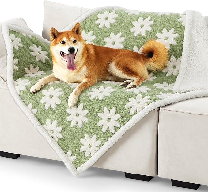 Lesure Waterproof Dog Blanket for Large Dogs - Washable Double Sided Dog Blankets with Warm Jacquard Shag and Soft Sherpa Fleece, Pet Cat Blanket for Couch Protection, 3D Textured Cloud, Green