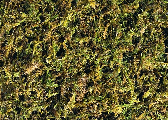 Exo Terra Forest Plume Moss, 7 Quarts, 2-Pack