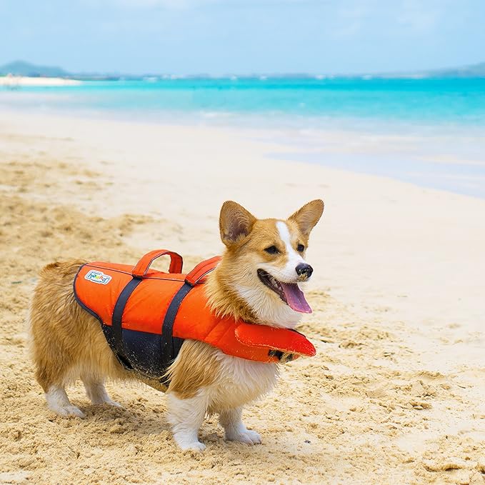 Outward Hound Granby Splash Orange Dog Life Jacket, Medium