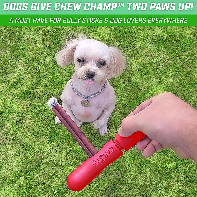 GoSports Chew Champ Bully Stick Holder for Dogs - Securely Holds Bully Sticks to Help Prevent Choking - 6 in or 8 in Size