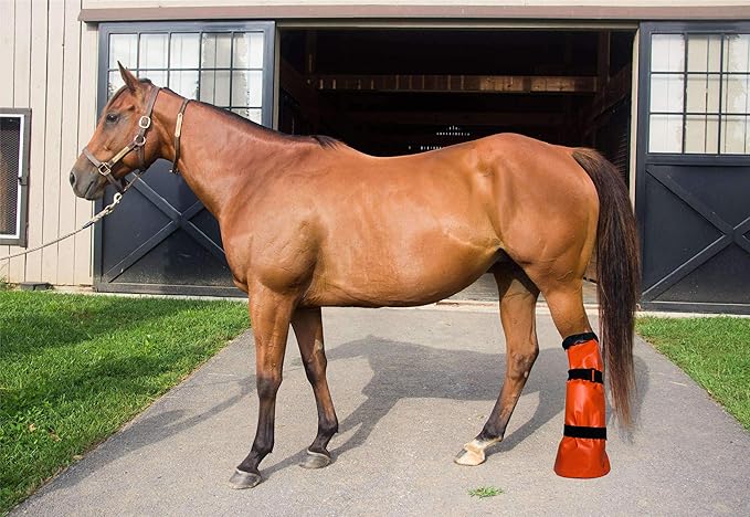 Two Pack Wrapped Horse Leg Boot Soaker Bag Equine Hoof Soaking Care Icing Bucket Treating Thrush or Bacterial Infection with EVA Pad