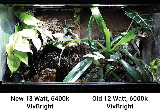 Pangea Vivbright Max Plant Growth Reptile & Amphibian LED Bulb, White, 1 Count (Pack of 1)