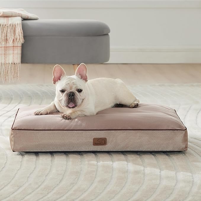Bedsure Waterproof Dog Beds for Meidum Dogs - 4 inch Thicken Up to 50lbs Medium Dog Bed with Removable Washable Cover, Pet Bed Mat Pillows, Taupe