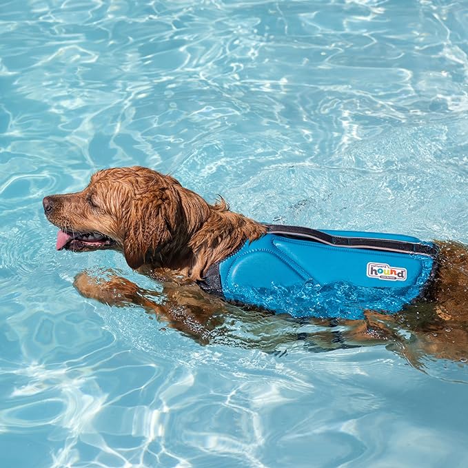 Outward Hound Dawson Swim Blue Dog Life Jacket, XS