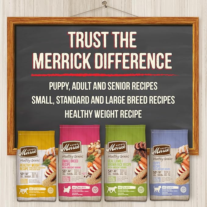 Merrick Classic Healthy Grains Dry Dog Food Real Lamb + Brown Rice Recipe with Ancient Grains - 4 lb. Bag